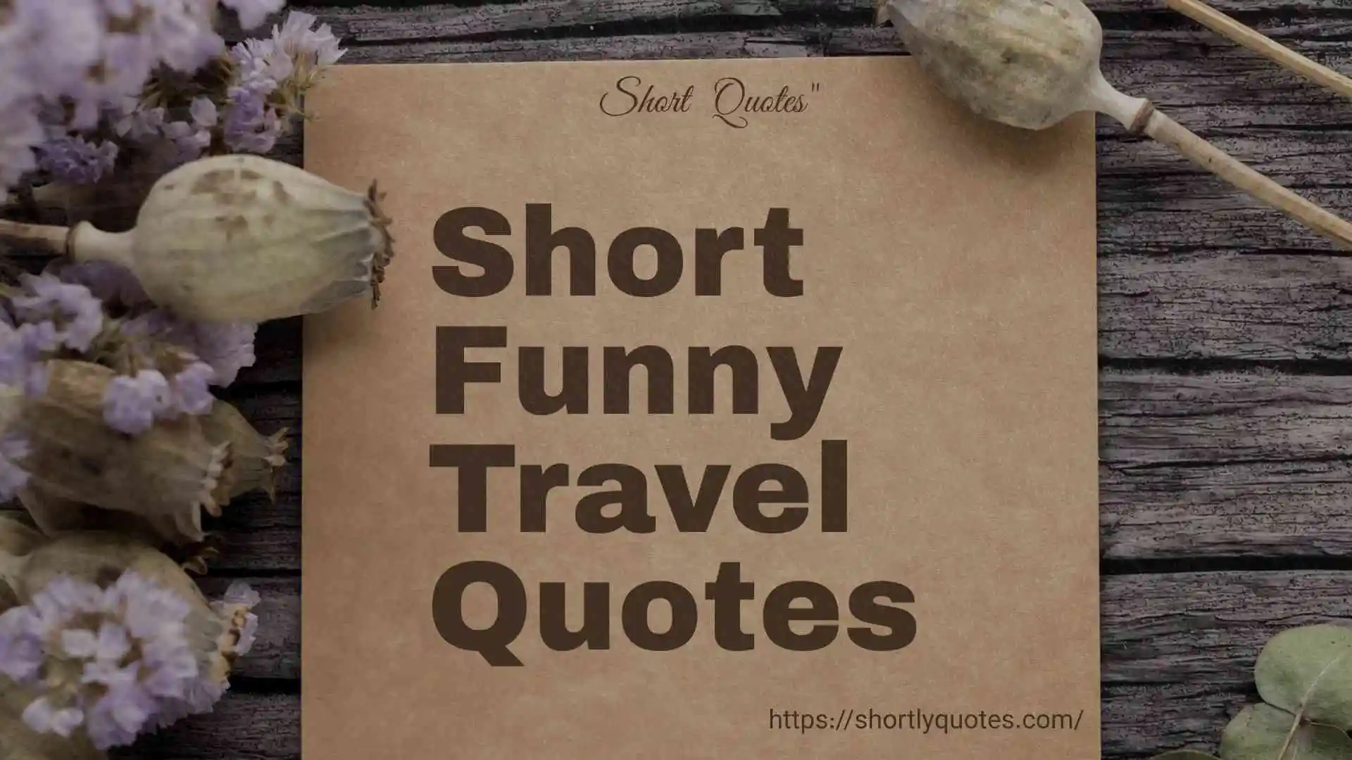 short funny travel quotes
