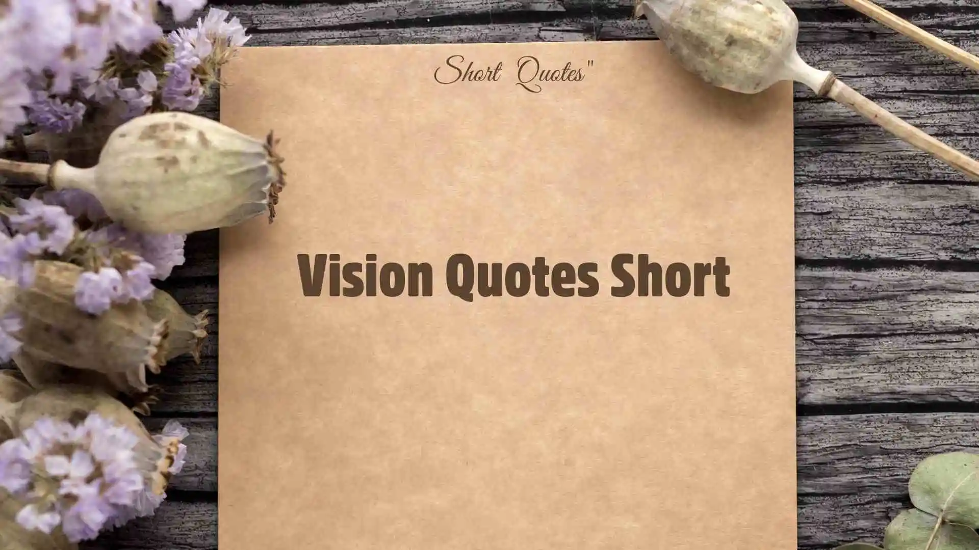 Vision quotes Short